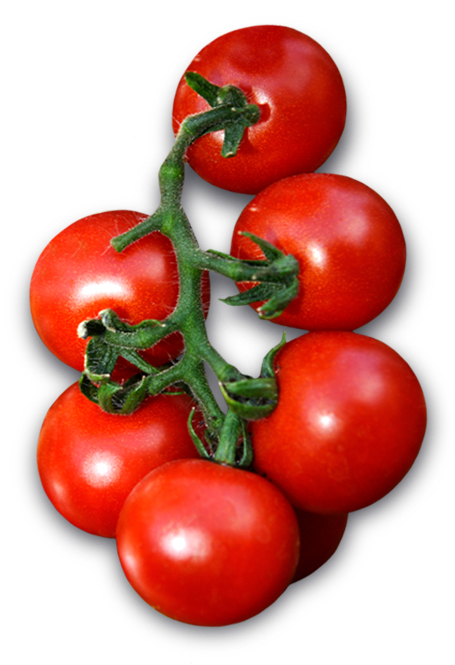 Tomatoes Image